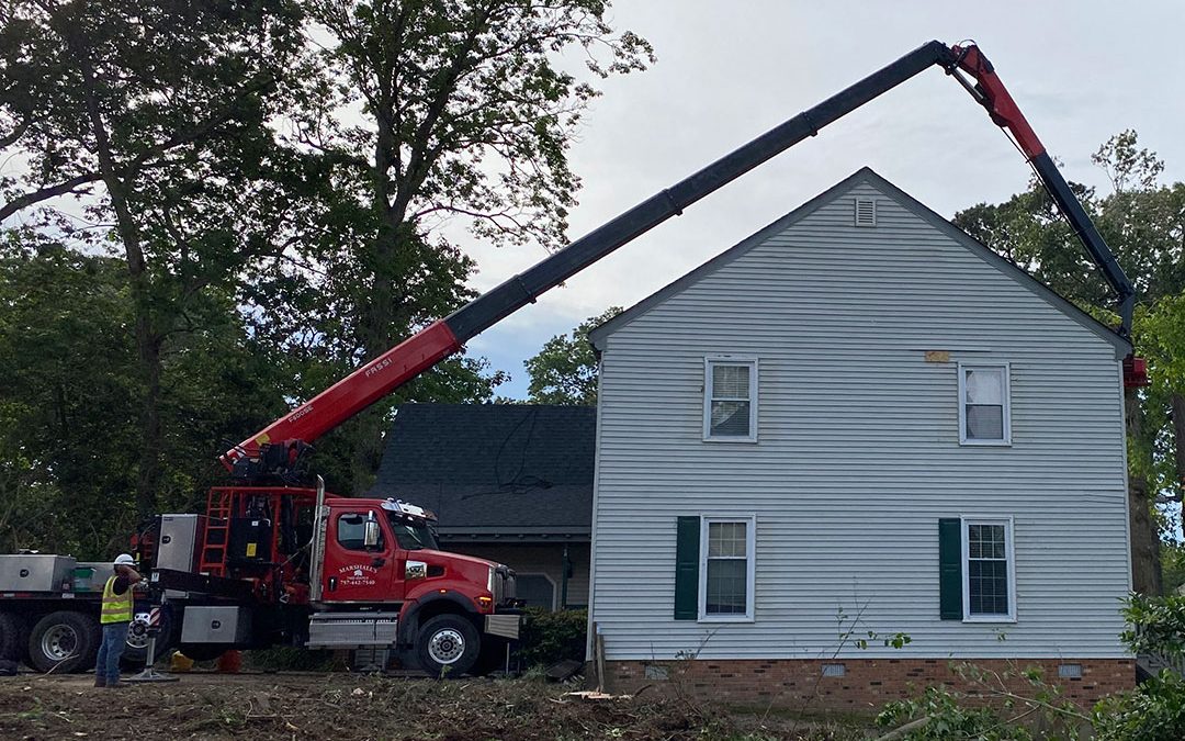 Expert Tree Removal Solutions for Your Home or Business