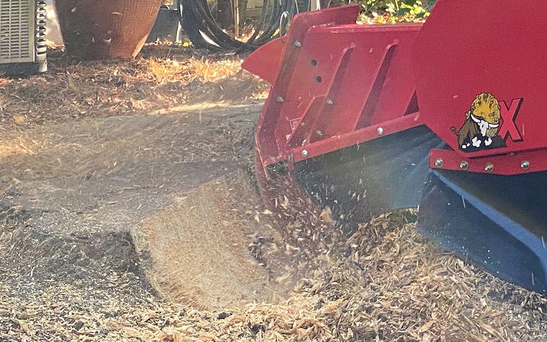 Enhance Your Landscape with Stump Grinding Services