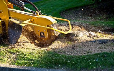 Get Rid of Unsightly Stumps with Professional Stump Grinding