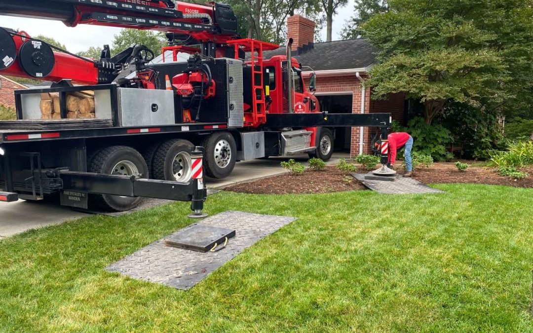 What Makes Zero-Impact Tree Removal So Valuable?