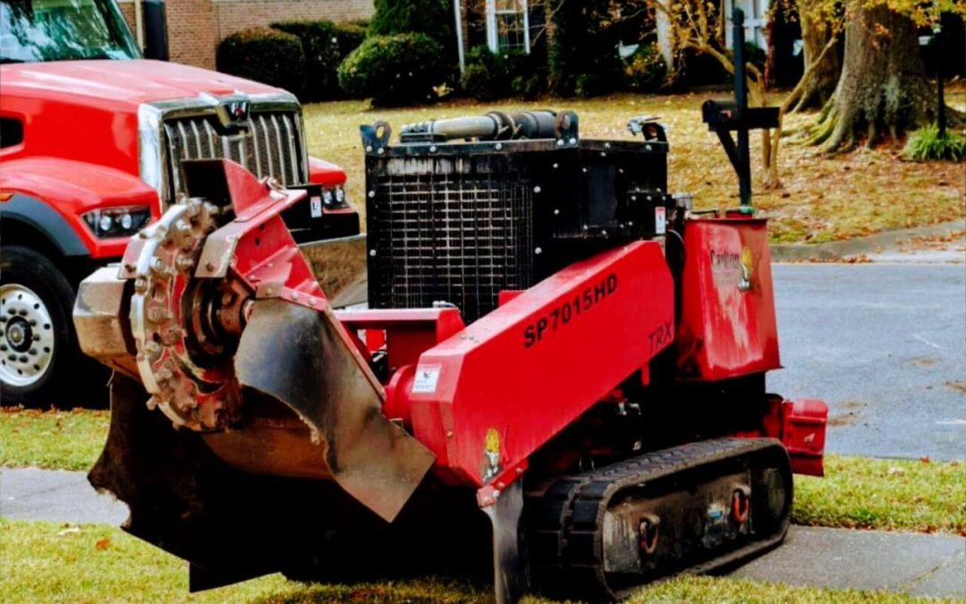 What is stump grinding, and why is it necessary?