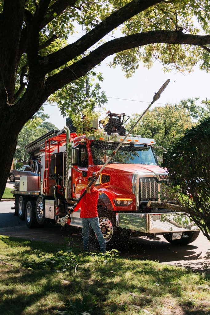 MarshallsBaysideGatheringCo-2653-min