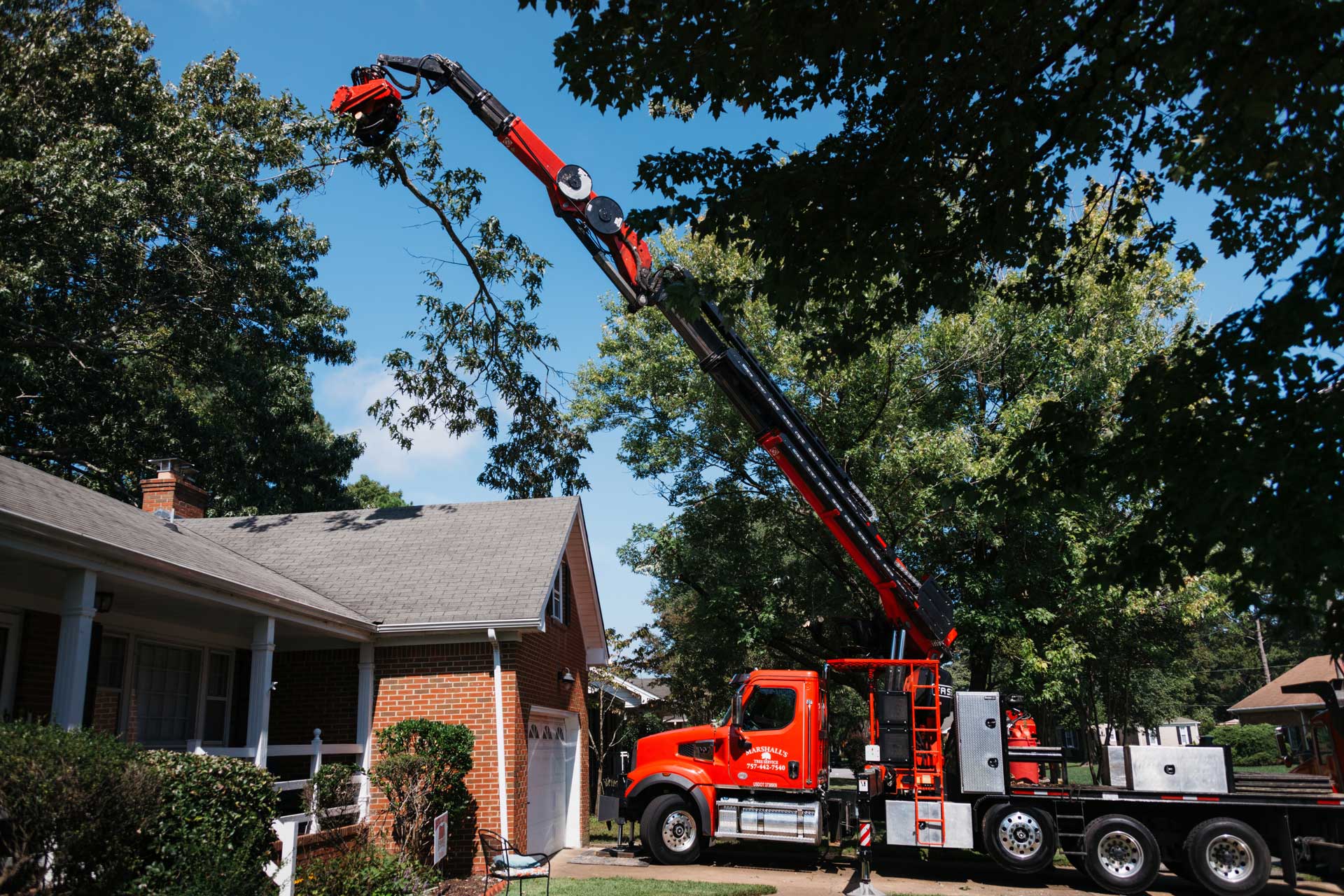 Marshall's Tree Service - Tree Cutting