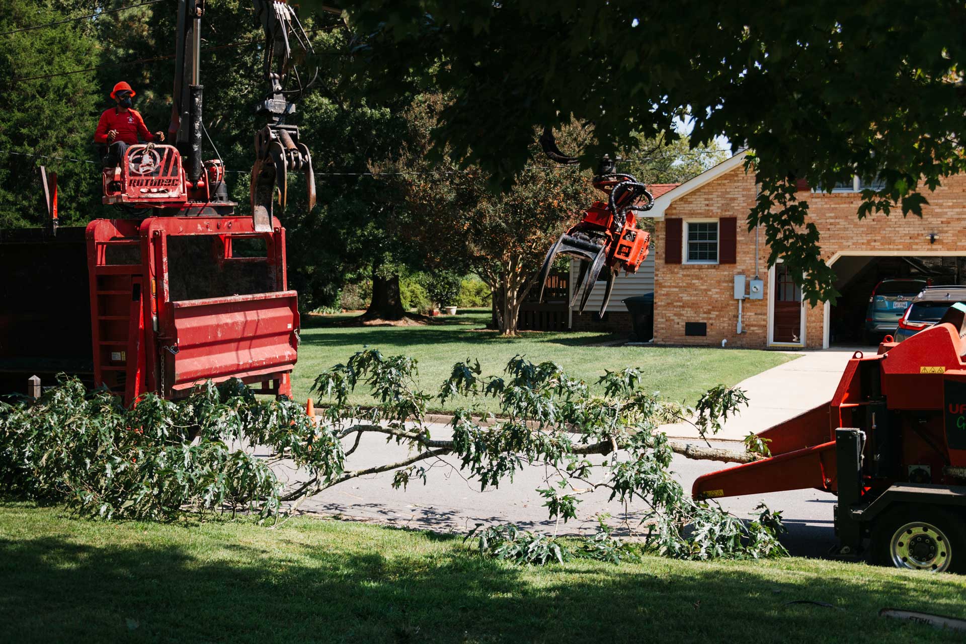 Marshall's Tree Service - Tree Removal Virginia Beach