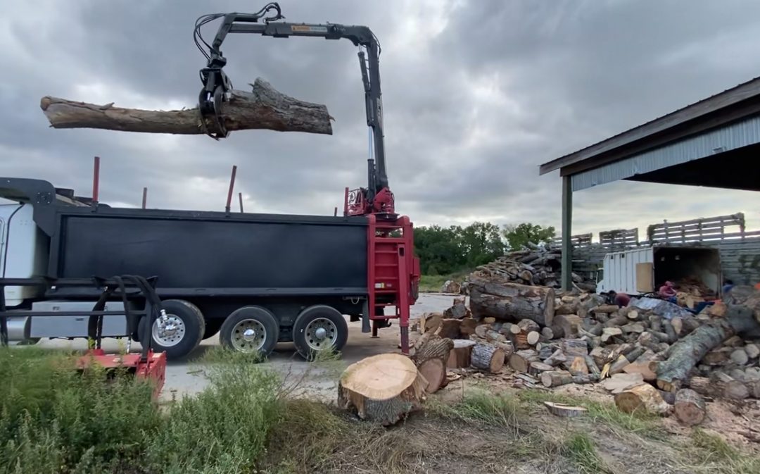 Eco-Friendly Tree Services: Sustainable Practices for a Greener Environment